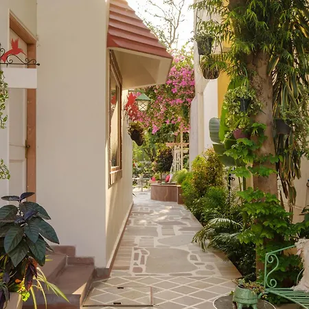Shree Nikunj - A Luxury Boutique Homestay In Jaipur-3